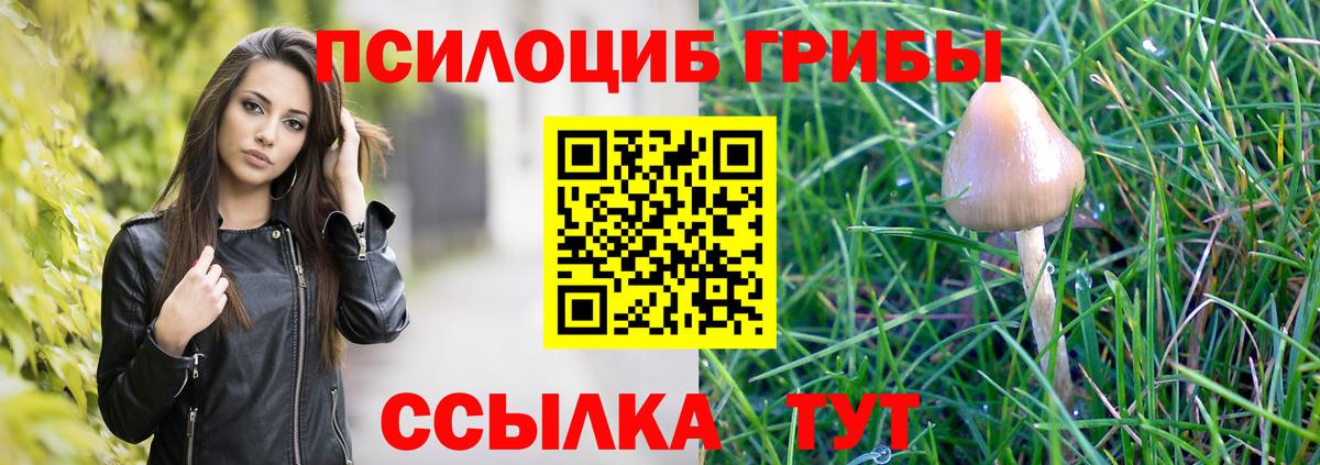 Псилоцибиновые грибы мицелий Пугачёв