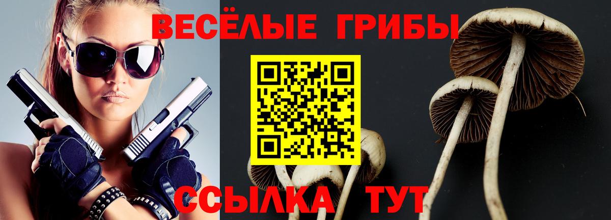Псилоцибиновые грибы Psilocybe  Галлюциногенные грибы мухоморы  Пугачёв  Вход с VPN 